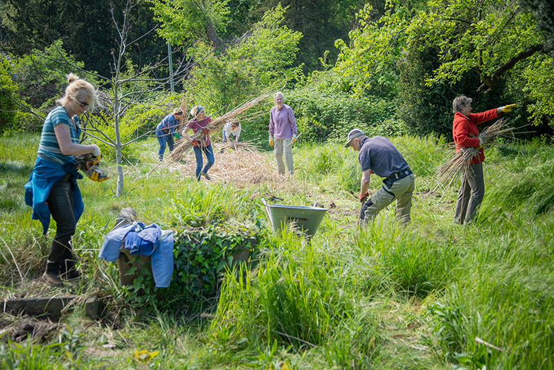 Winzerberg Potsdam Menschen arbeiten ehrenamtlich auf einer Wiese